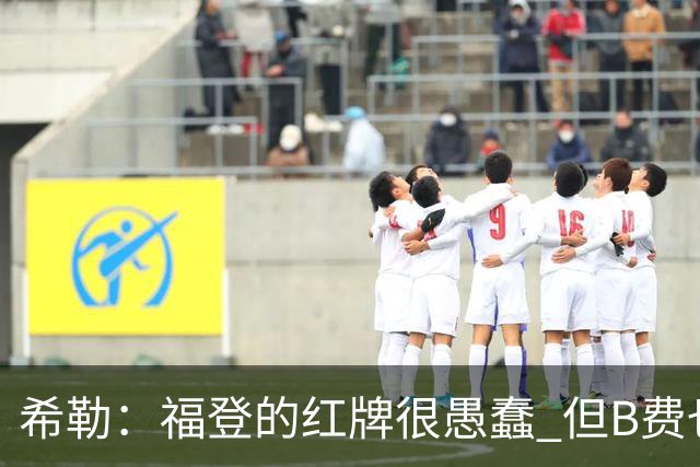 希勒：福登的红牌很愚蠢 但B费也应该被红牌罚下，如果罚就都得罚